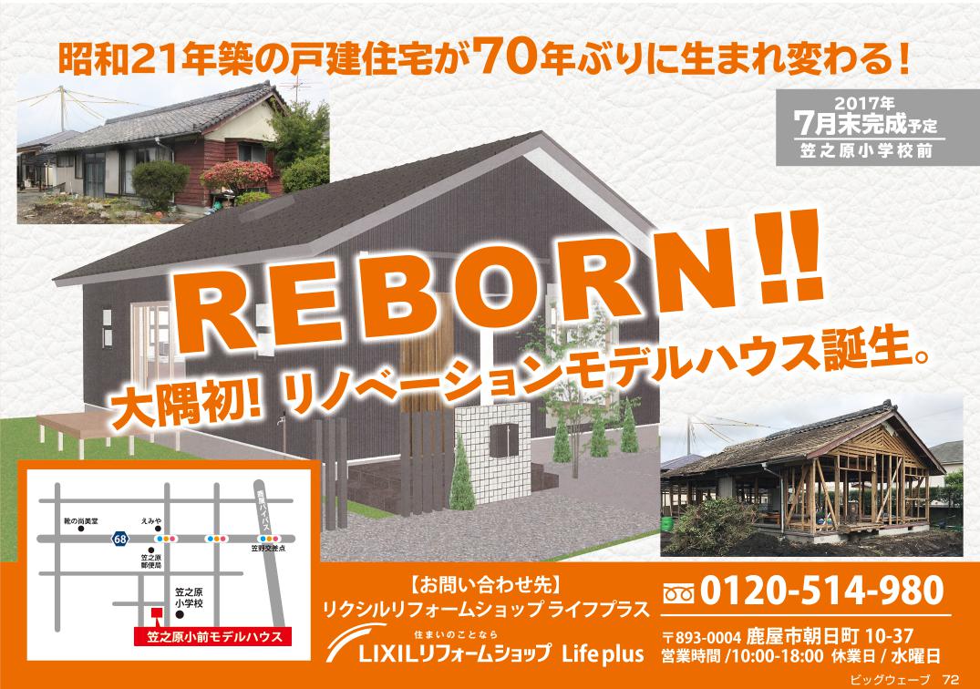 今月のビッグウェーブ