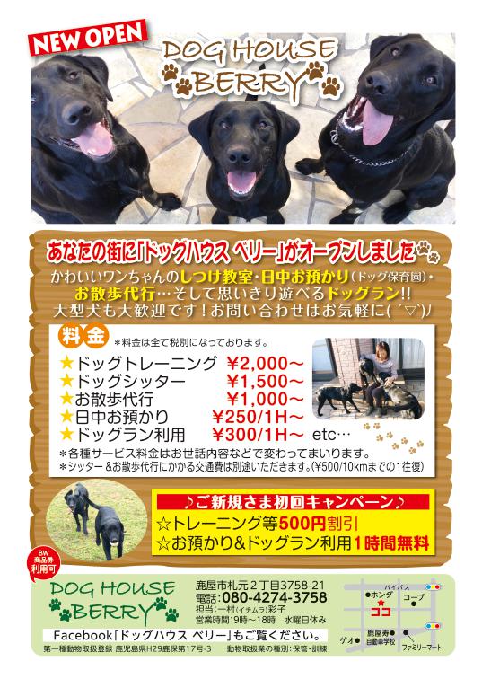 今月のビッグウェーブ