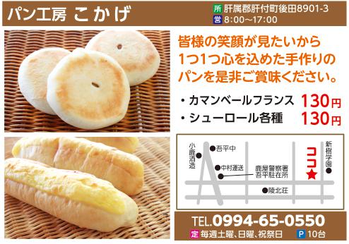 今月のビッグウェーブ