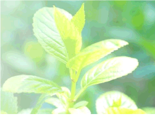 笠野リハビリ支援センター